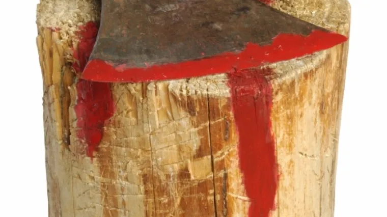 Stravično ubojstvo: Mladić sjekirom ubio oca