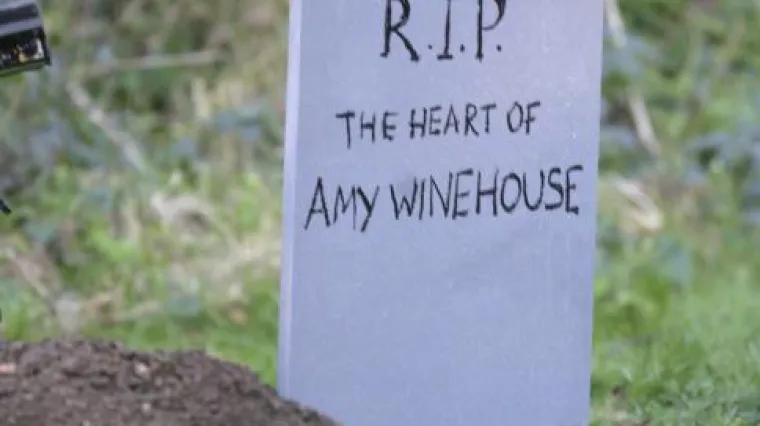 Nove pjesme neprežaljene Amy