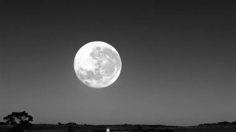 Morbidan feti&scaron;: Iskapao le&scaron;eve i odjevao ih kao lutke!