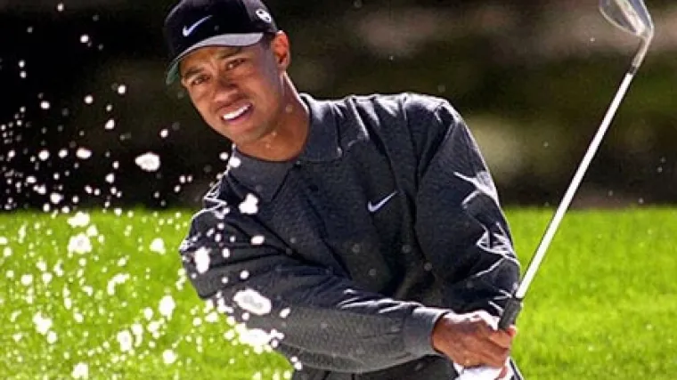 'Tiger Woods je obični crni &scaron;u***!'