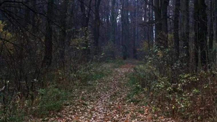 Krvoločni 'vampir' siluje i masakrira žene