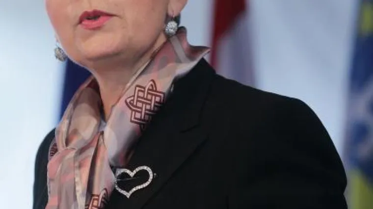 Kosor za strane medije: HDZ će nastaviti reforme