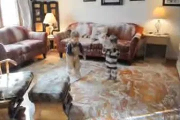 Blizanci demolirali stan