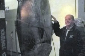 Vlasti mu oduzele divovski ulov od 400 kg