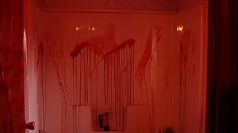 Ubila, raskomadala i skuhala supruga