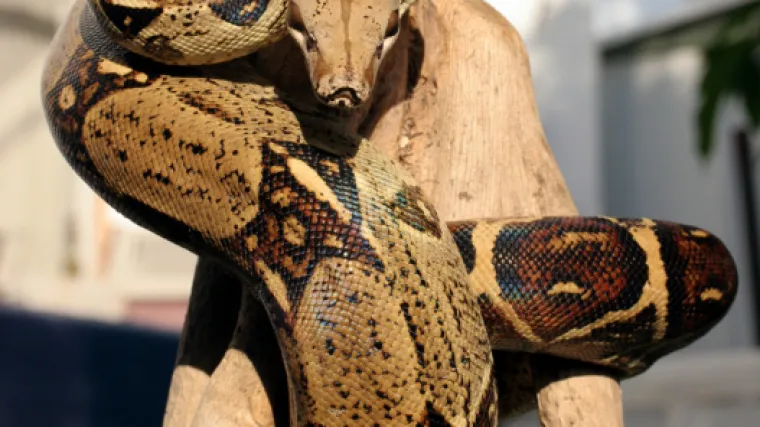 Kako se u Indiji stalo na kraj korupciji?