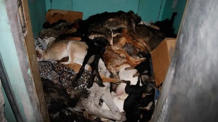 Brutalno ubijanje životinja zbog EP-a 2012.