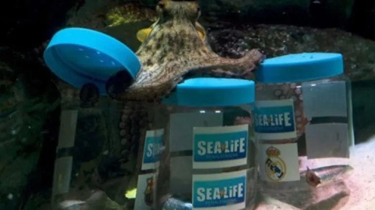 Hobotnica Messi zna tko će pobijediti u El Clasicu?