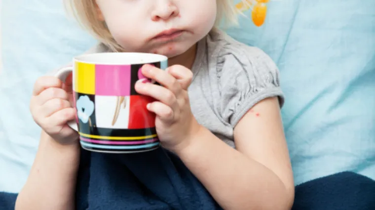 Sunce zaustavlja širenje vodenih kozica