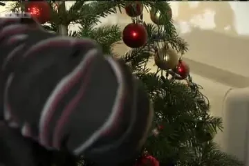 Najbizarnije božićne nesreće