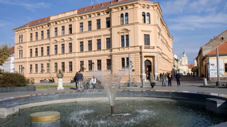 Učenicu pogodili drvenom motkom u glavu