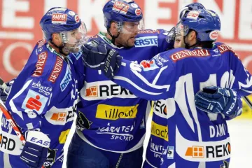 Medve&scaron;čak razbio če&scaron;ke Orlove