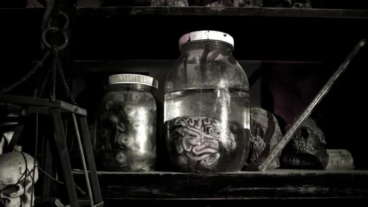 Liječnici godinama krali mozgove djece