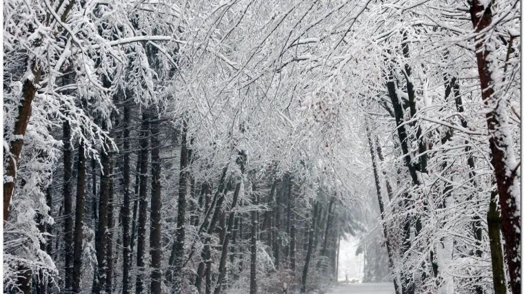 Dobro se obucite: Temperature do -10