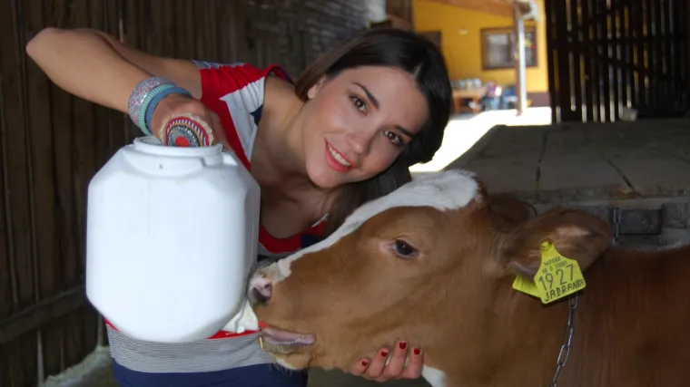 Na selo se sele priče pune intriga, ljubavi i romantike!