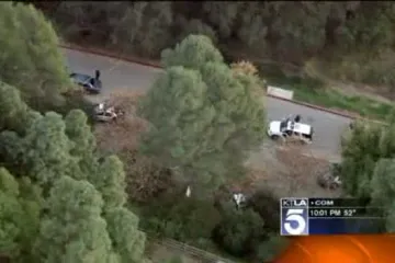 Psi pronašli ljudsku glavu u vrećici!