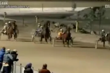 'Sirove strasti' na utrkama konja