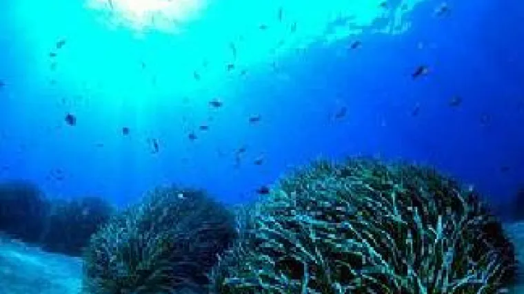 Otkriveno najstarije živo biće na svijetu!