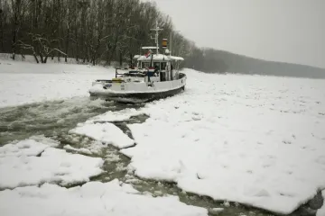 Brodovi zapeli na Dunavu, posada bez hrane i goriva