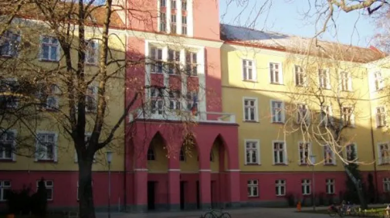 Učenik petog razreda pretukao profesoricu