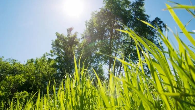 Za vikend nam stiže 'proljeće', a onda opet snijeg