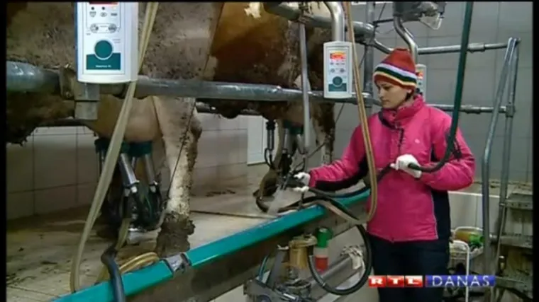 Kako se bez mljekara snalaze njihove supruge?