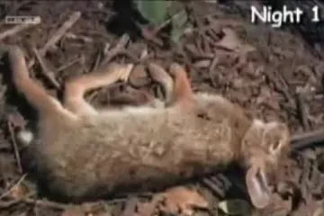 Zašto smo postali opsjednuti vremenskim pričama?