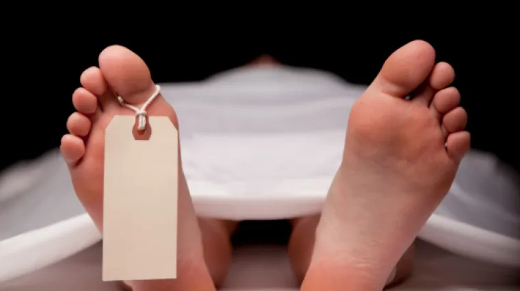 U podrumu sveučili&scaron;ta pronađeno stotinu le&scaron;eva