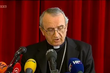 Mons.Puljić se pita što znači pedofilija?