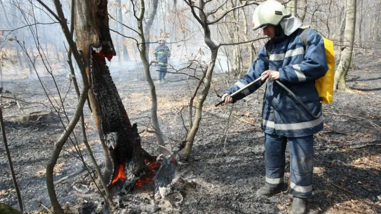 Palio granje pa poginuo na stravičan način