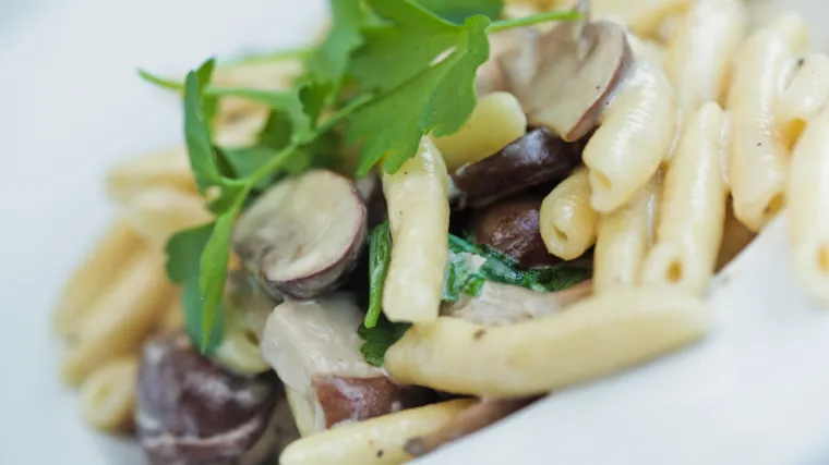 Pitomim gljivama do ukusnog umaka