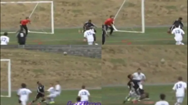 Pogledajte rijetko viđenu golčinu