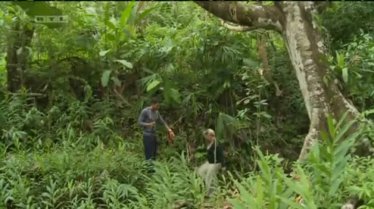 Uzavrelo u Survivoru: Zaruke, podmetanja i ljubomora!