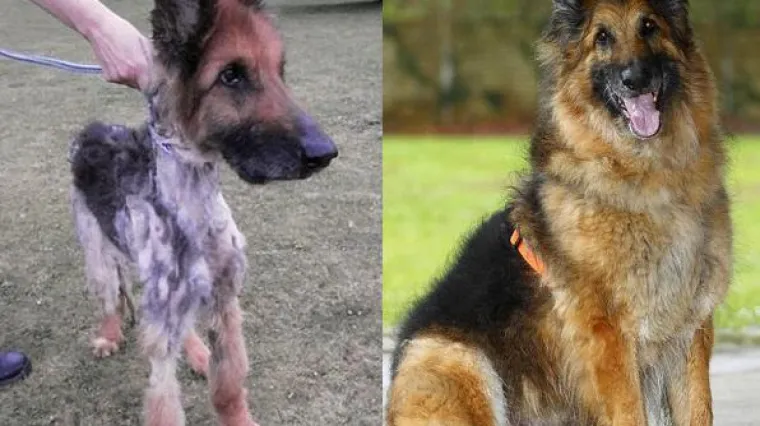 Izgladnjivali ga do smrti, sada samo traži obitelj