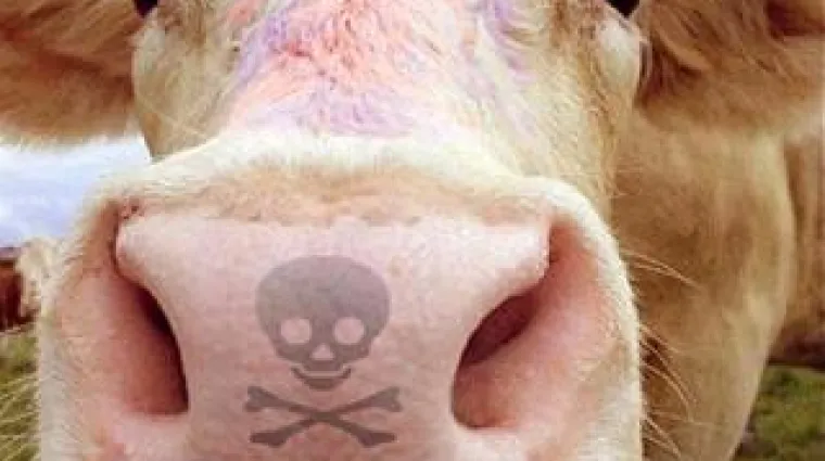 Krava se otela kontroli i te&scaron;ko ozlijedila starca