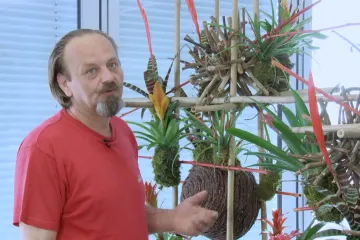 Inovativno uređenje ureda