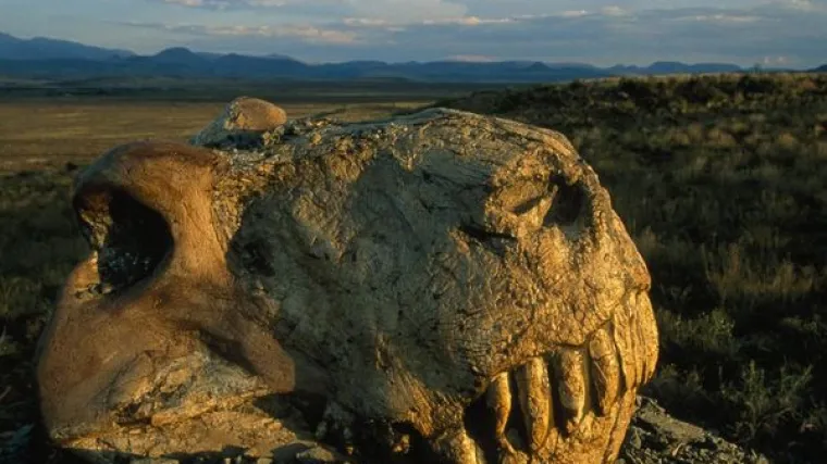 Deset milijuna godina za oporavak od kataklizme