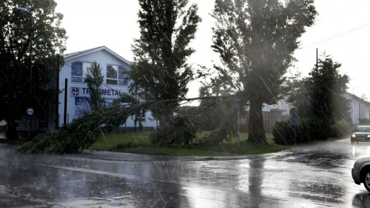 Nevrijeme i jaka ki&scaron;a ru&scaron;ili stabla i električne stupove!