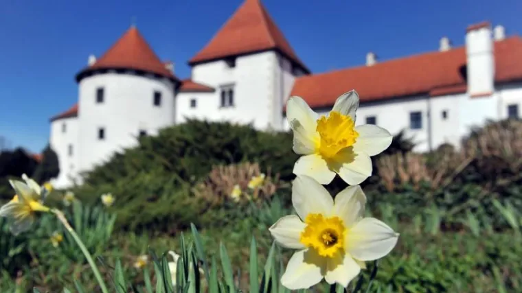 Tko će od petka skupljati otpad po Varaždinu?