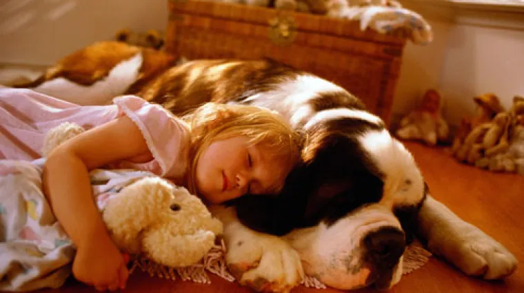 Ženka bernardinca spasila obitelj od požara i uginula