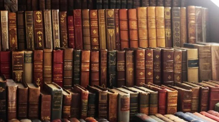 Provalili u kuću i ukrali - knjige!