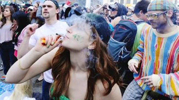 Proizvodnja kanabisa cvjeta u Europi