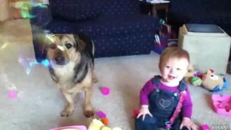 Jeste li znali da pas može pomoći va&scaron;em djetetu?