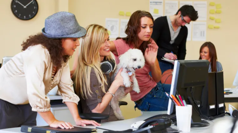 Psić u uredu čuva živce i povećava zadovoljstvo poslom!