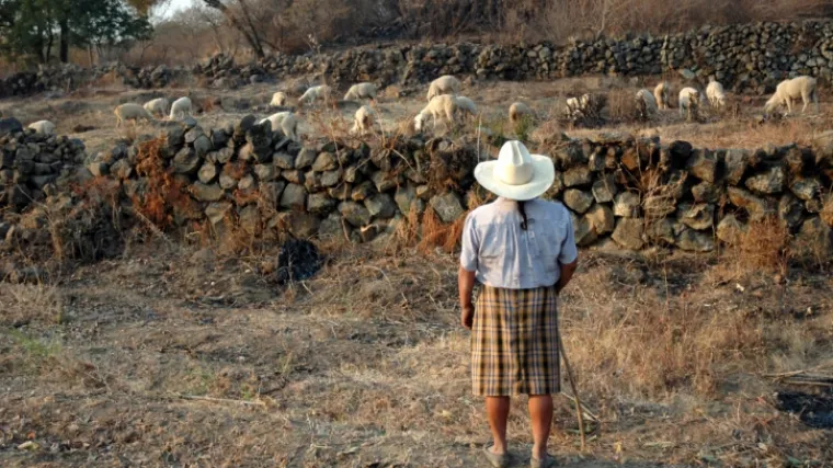 'Gljivara' prona&scaron;li, a za pastiricom se jo&scaron; traga