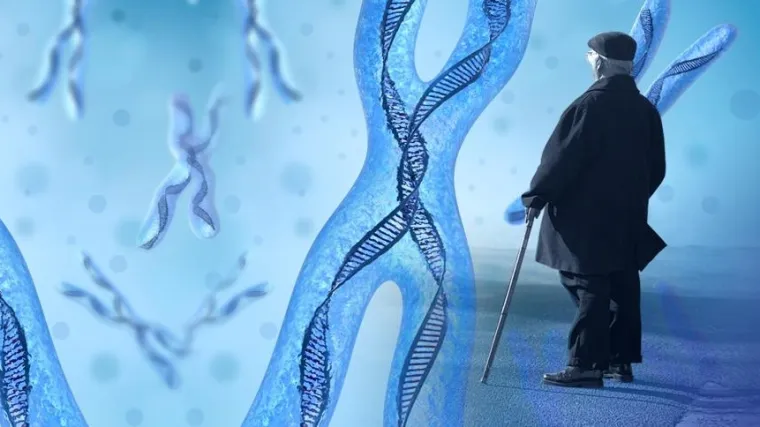 Znate li za&scaron;to žene žive duže?