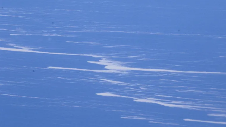'Splav' veličine Belgije pluta Tihim oceanom