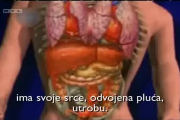 Najpopularnije blizanke na svijetu