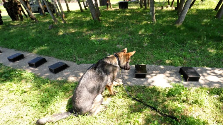 Nanju&scaron;io ga pas: Pao s drogom vrijednom milijun kuna!