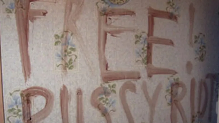 Dvostruko ubojstvo u Rusiji nije povezano s Pussy Riot